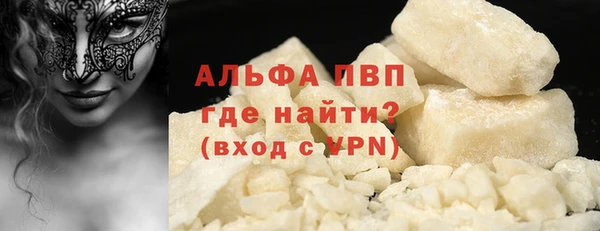 прущие грибы Коряжма