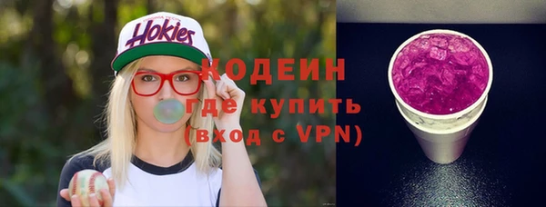 прущие грибы Коряжма