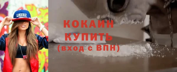 стафф Кодинск