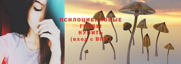 прущие крисы Костерёво