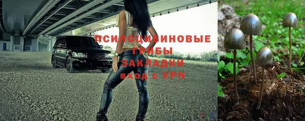 спиды Козельск