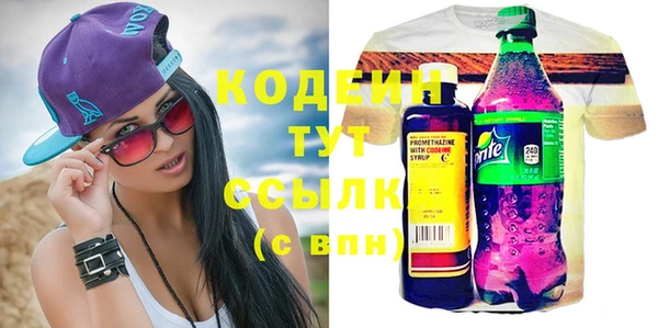 прущие грибы Коряжма
