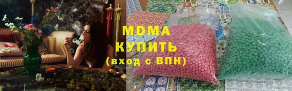 прущие грибы Коряжма