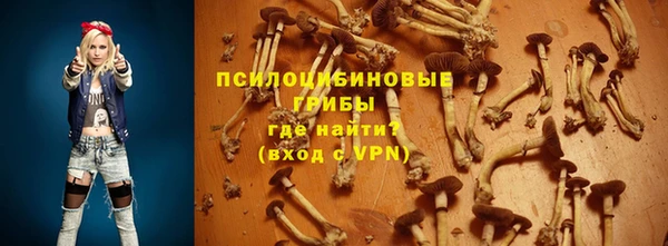 Альфа ПВП Корсаков