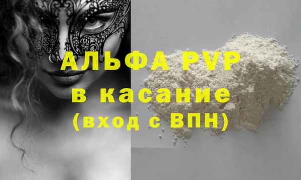 стафф Кодинск