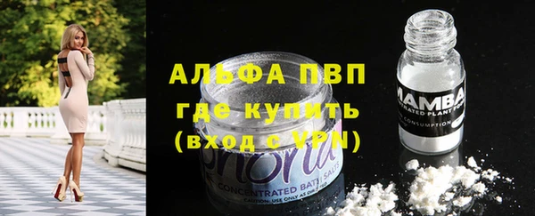 стафф Кодинск