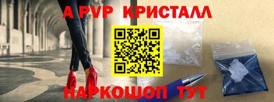 соль ск Кингисепп