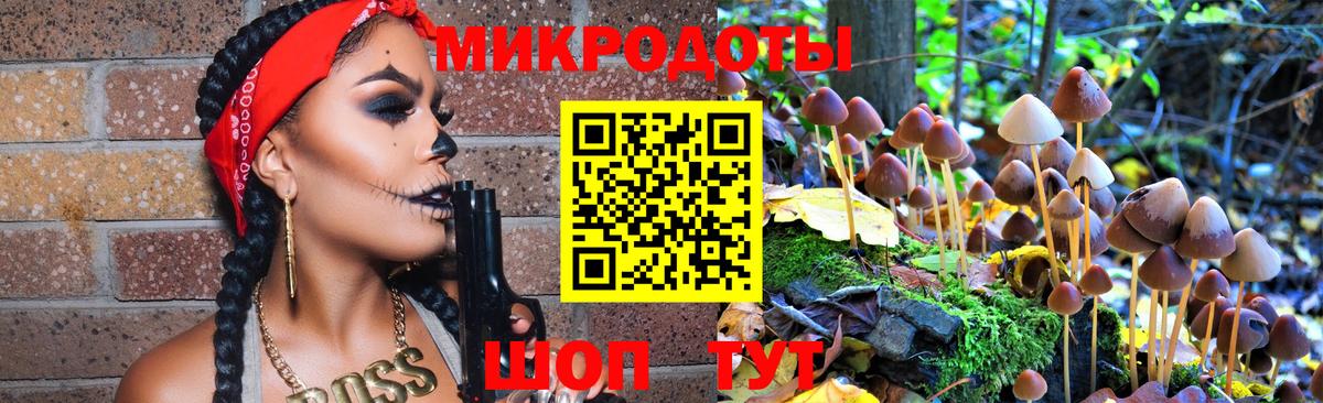 Галлюциногенные грибы Magic Shrooms  Михайловка  Псилоцибиновые грибы ЛСД 