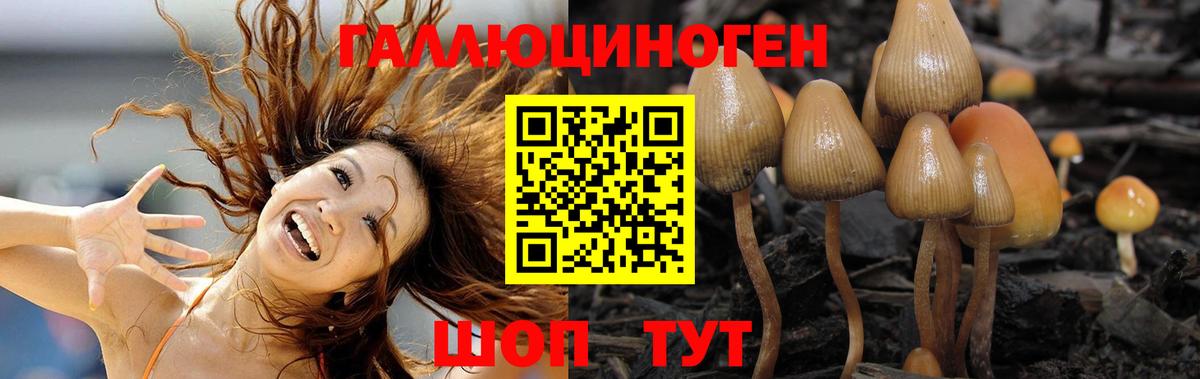 Псилоцибиновые грибы ЛСД  Вход с VPN  Михайловка 
