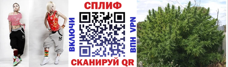 МАРИХУАНА сатива  Михайловка 